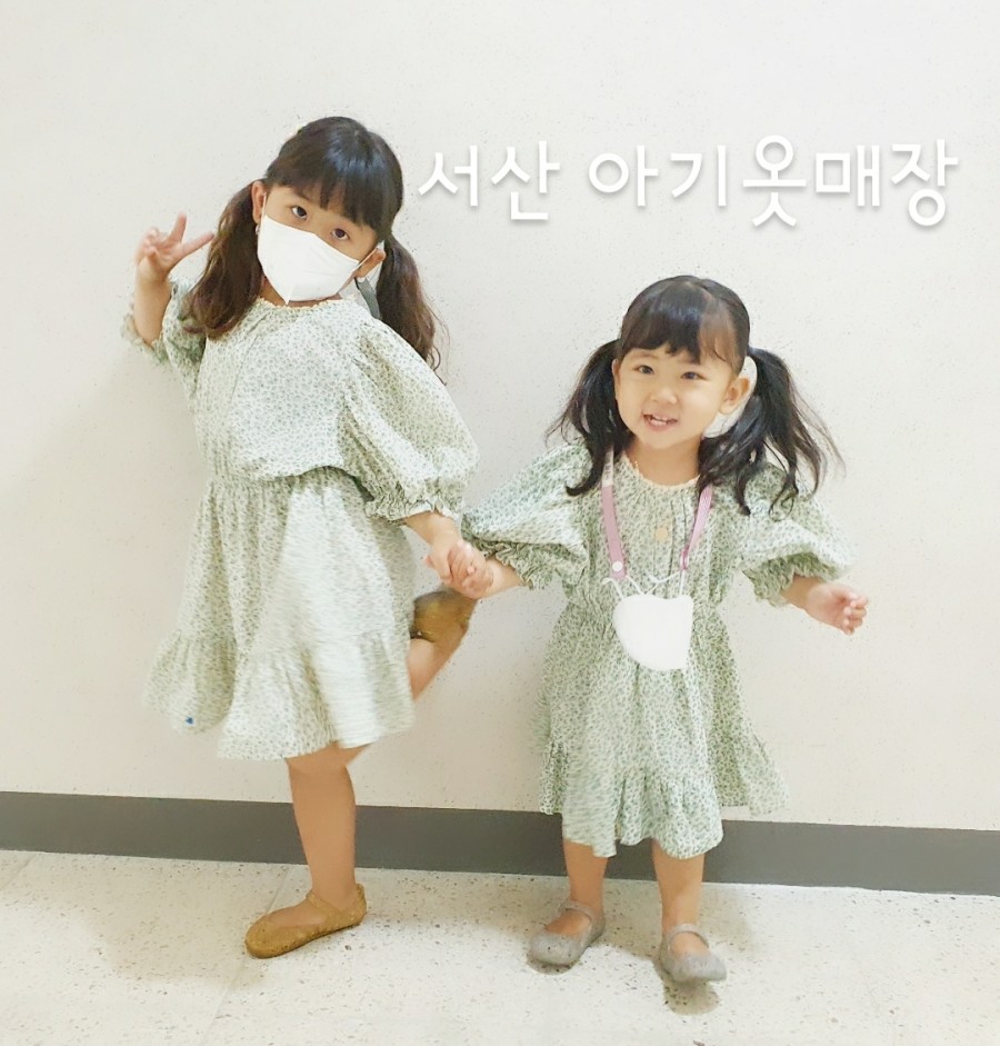 송바이인 이미지
