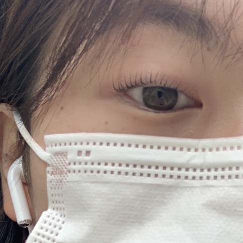 마리스로스터스 이미지