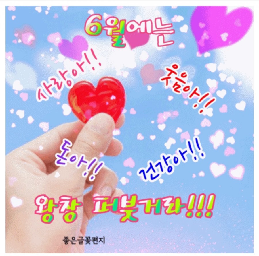 인셀덤 성공열차 대리점 이미지