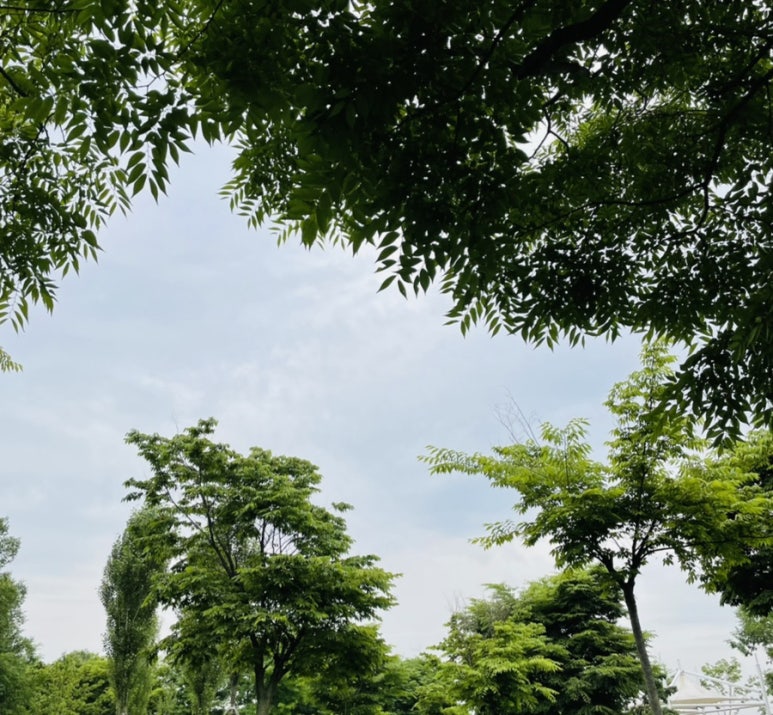 인더라인25 이미지