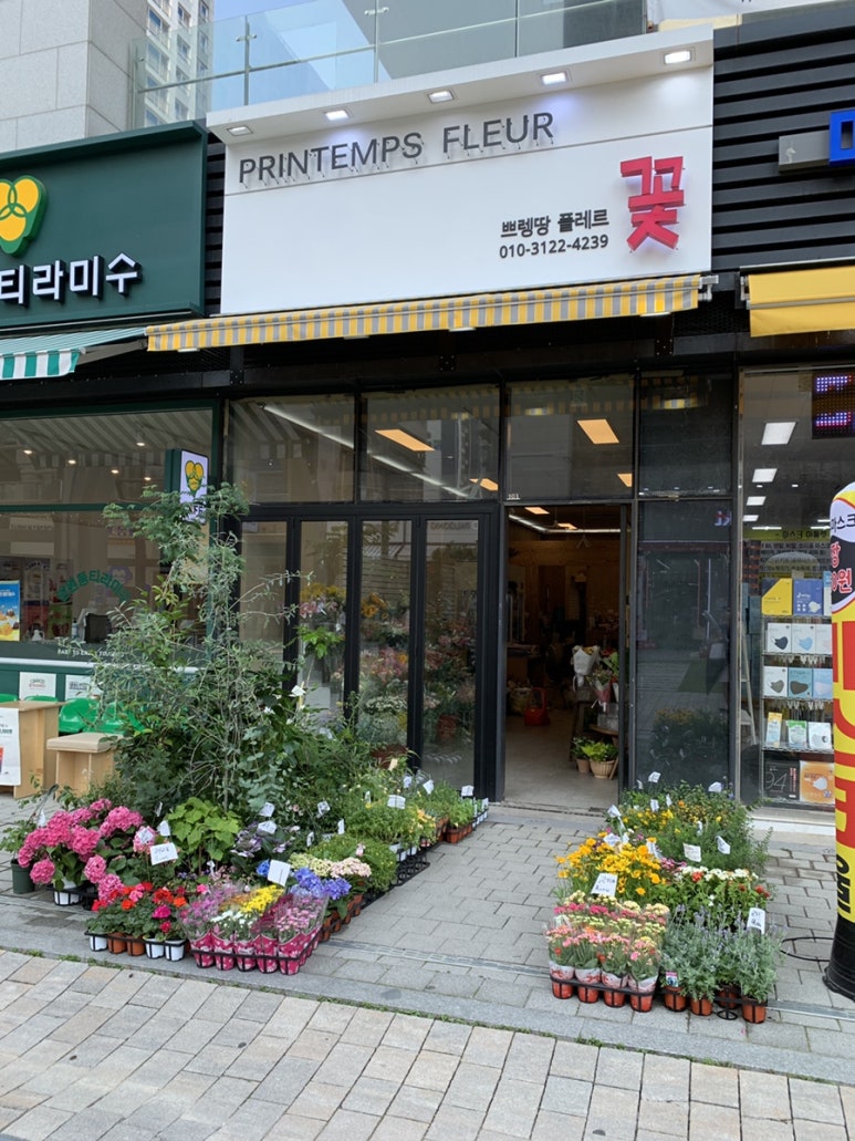 쁘렝땅플레르 이미지