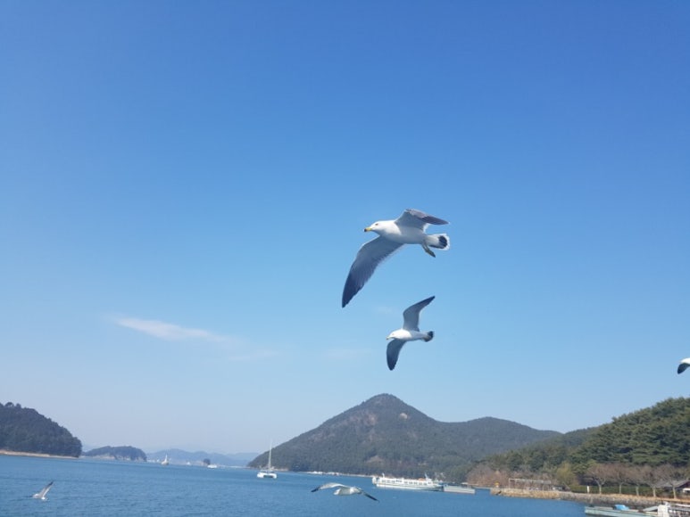 연화한의원 이미지
