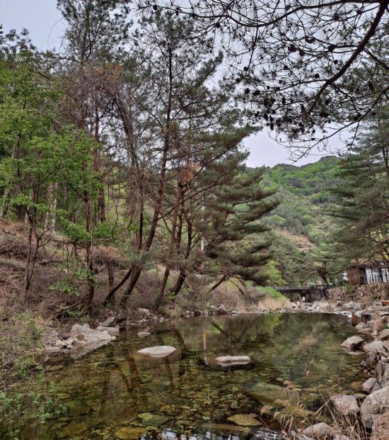 엄둔밸리 이미지