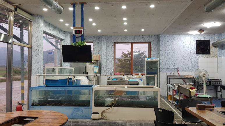 우리수산풍천장어 이미지
