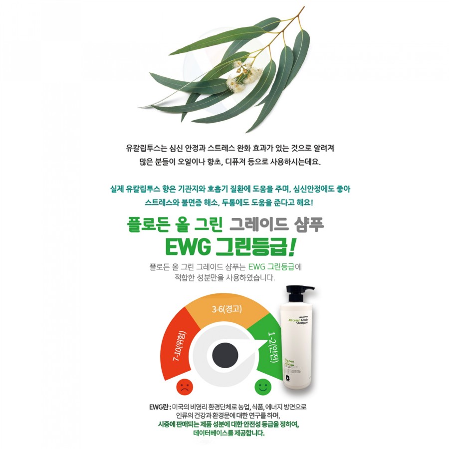 올그린 이미지