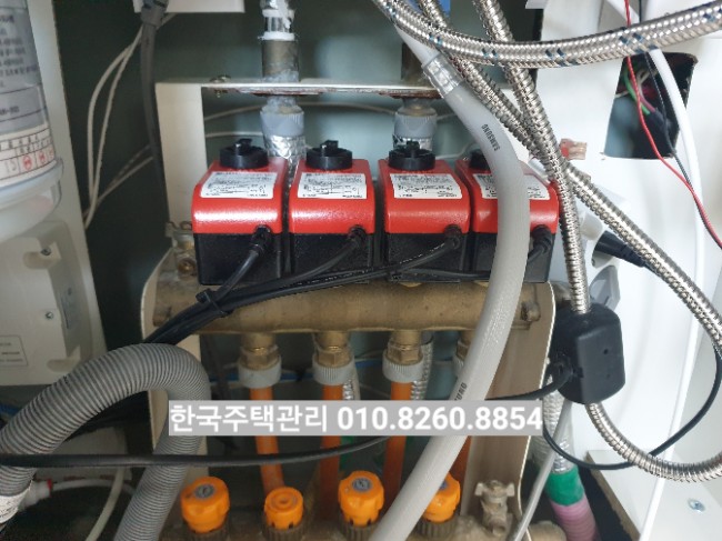 이씨엘 이미지
