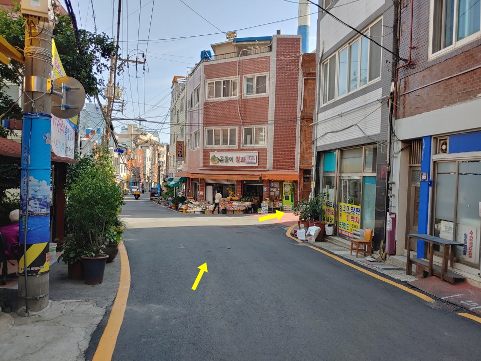 곰돌이청과 이미지