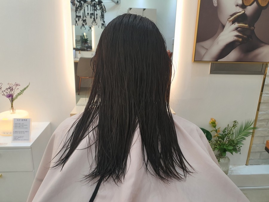 헤이진 이미지