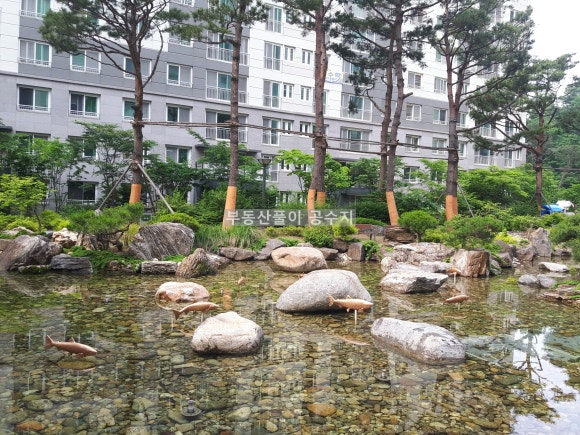 향동고등학교 이미지