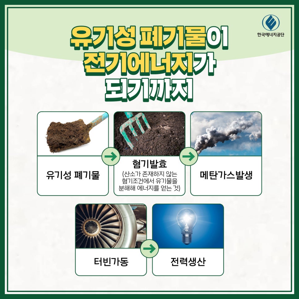 버드에너지 이미지