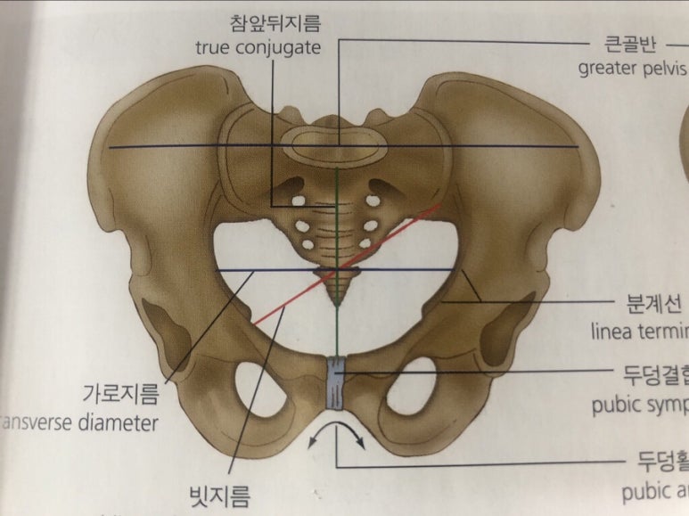 안산출장마사지 이미지