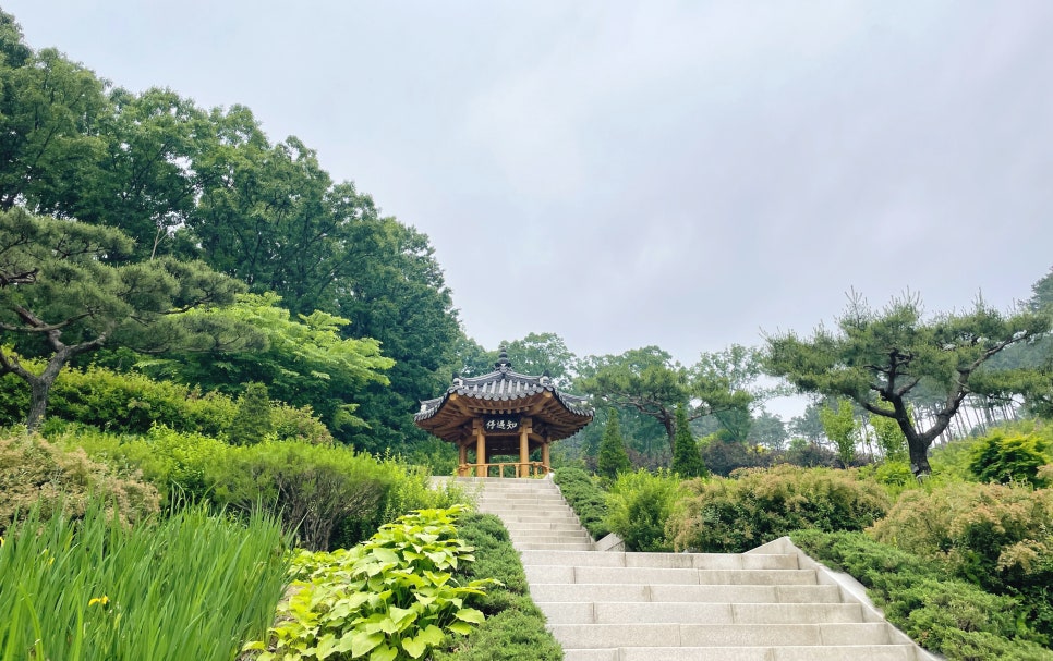 지우통상 이미지