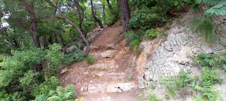 안인진 임해 이미지