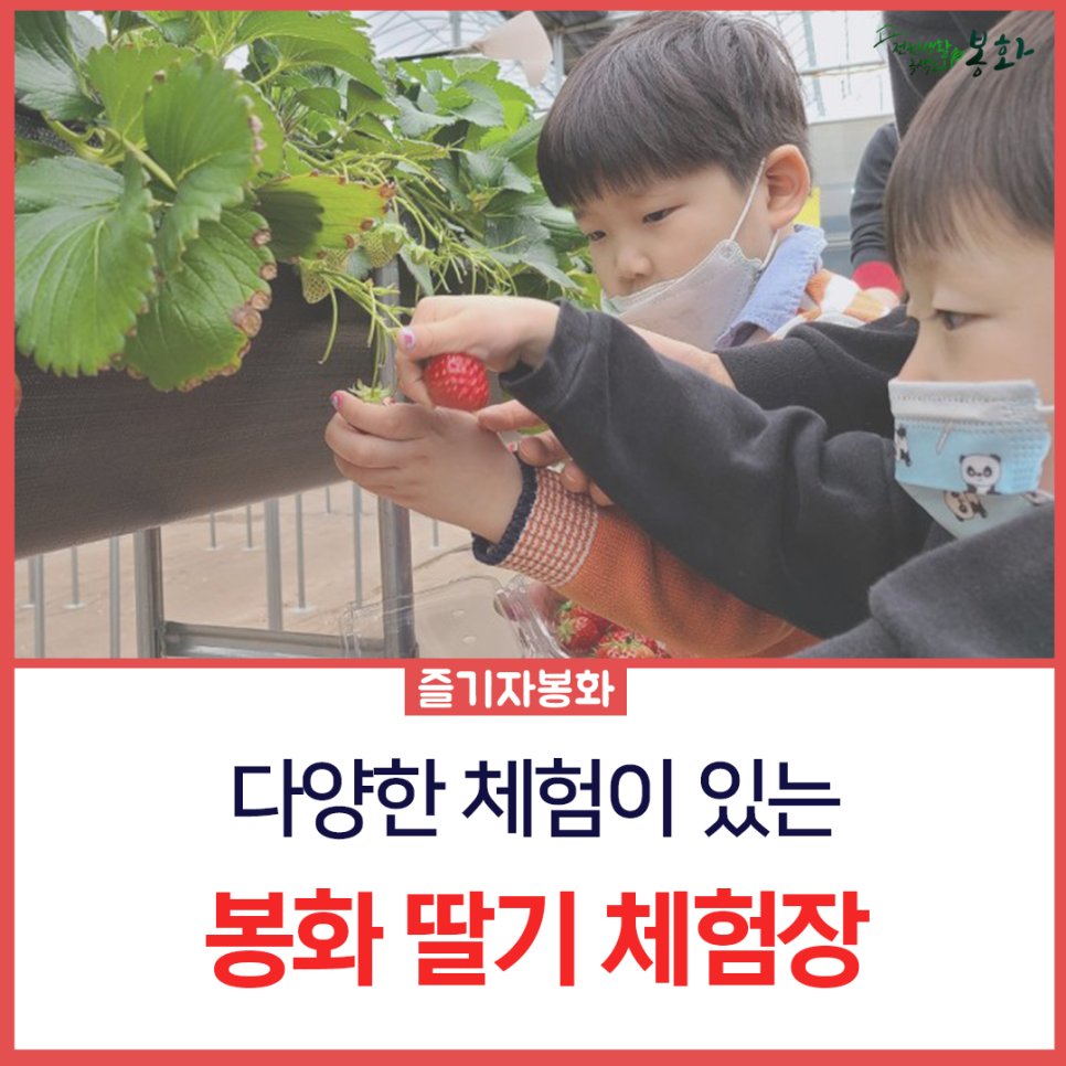 해늘농원 이미지