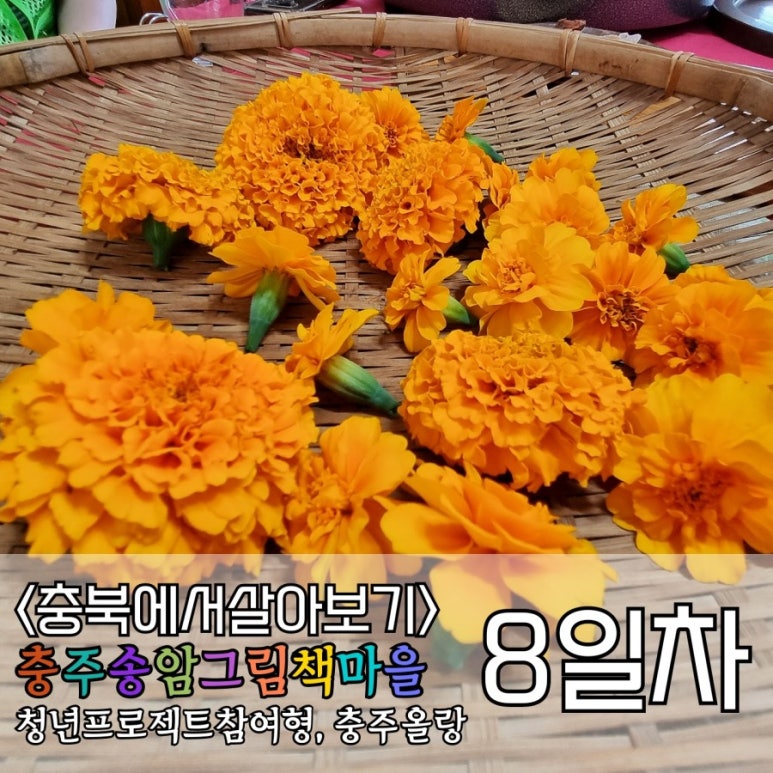 충주송암그림책마을 이미지
