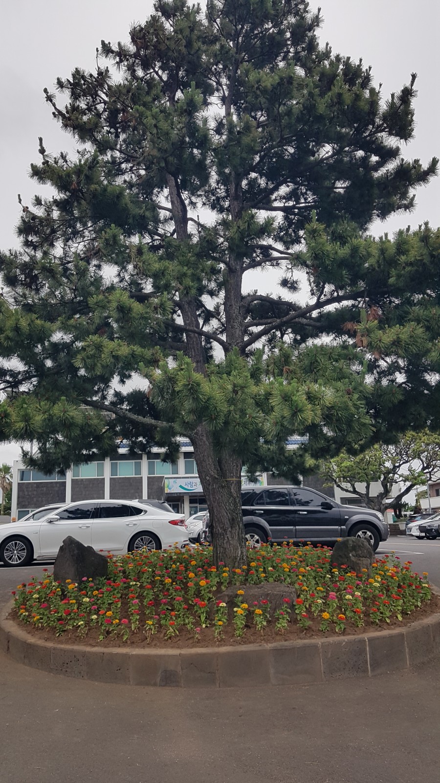 돌고래전망카페 이미지