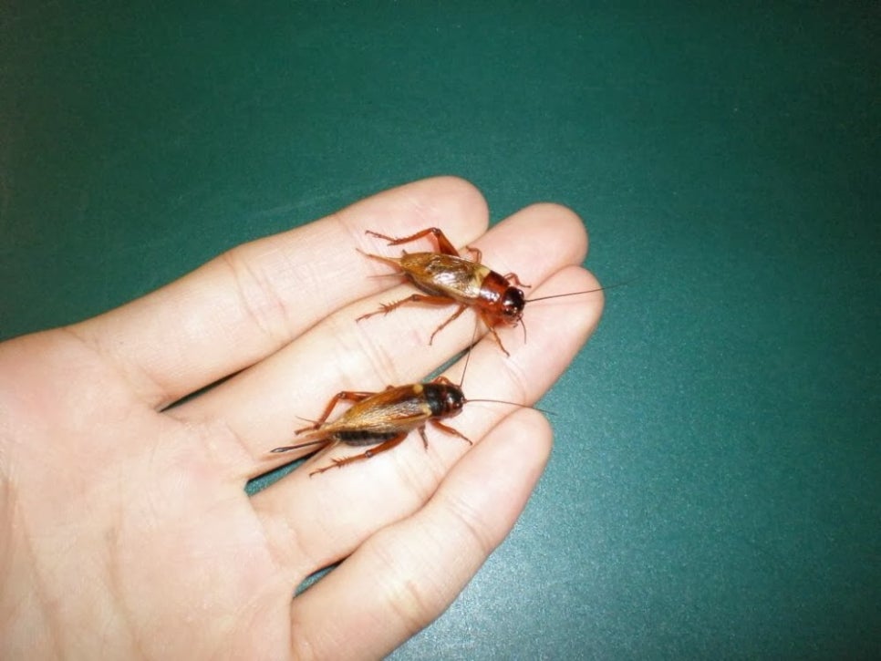유지일렉트릭 이미지