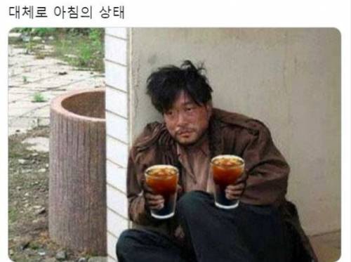 뽀끼야 이미지