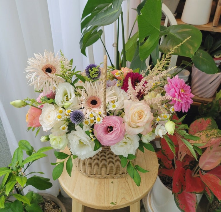 연수꽃화원 이미지
