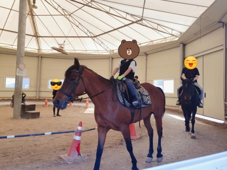 용인홀스트래킹 이미지