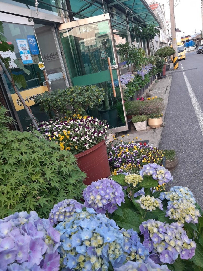 황가네한방오리 이미지