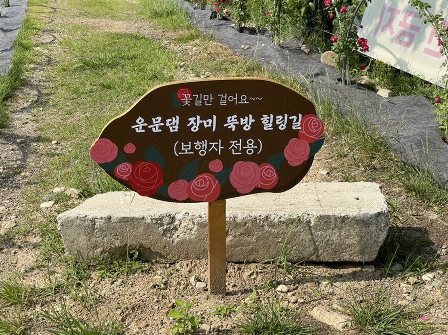 운문카페 이미지