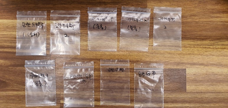 인포젠 이미지