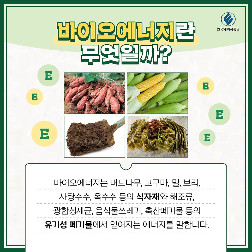 버드에너지 이미지