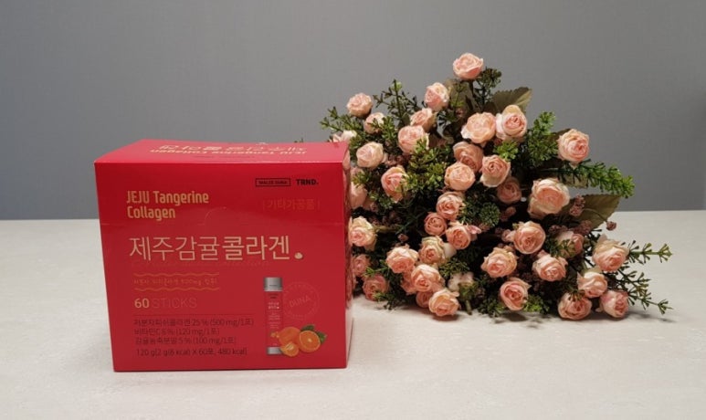 코타이인터내셔널 이미지