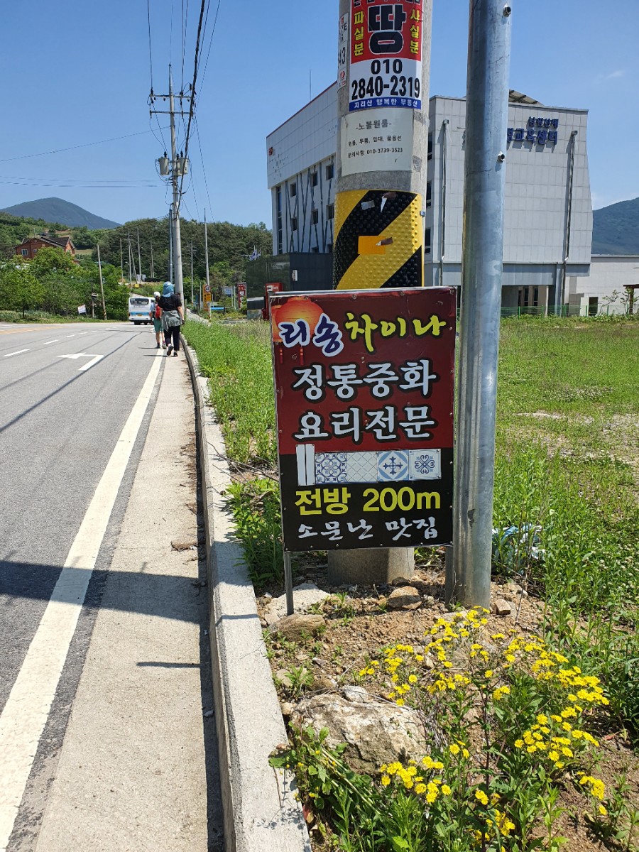 리송차이나 이미지