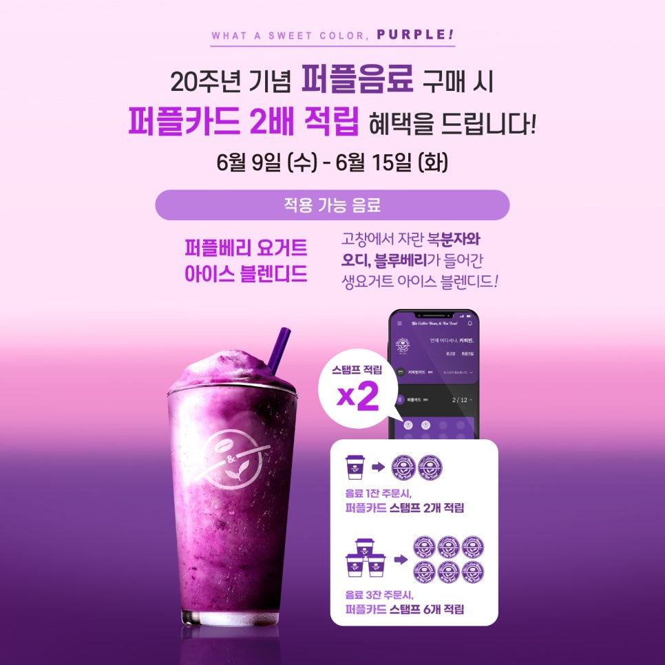 요거트퍼플 이미지