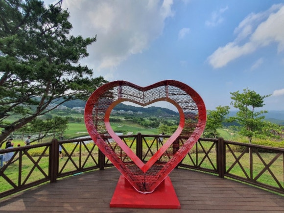 펠리체승마클럽 이미지