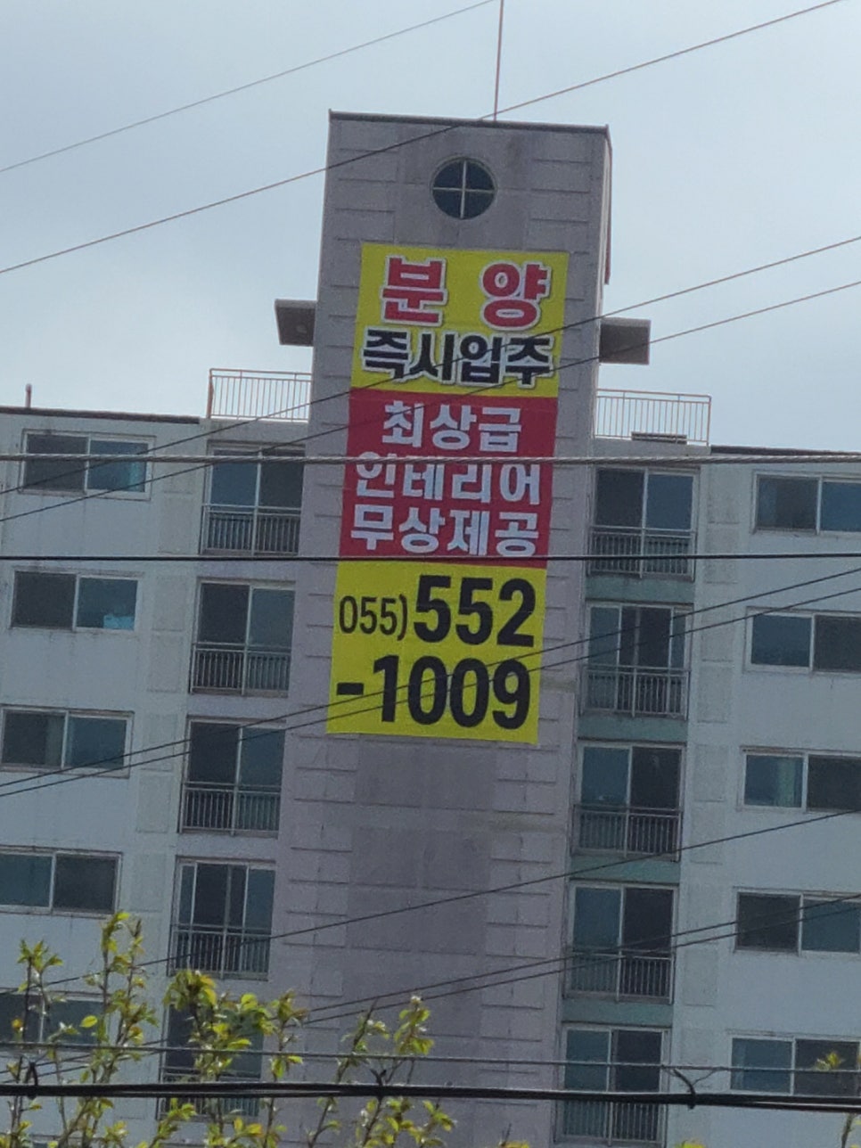 다드림애드 이미지