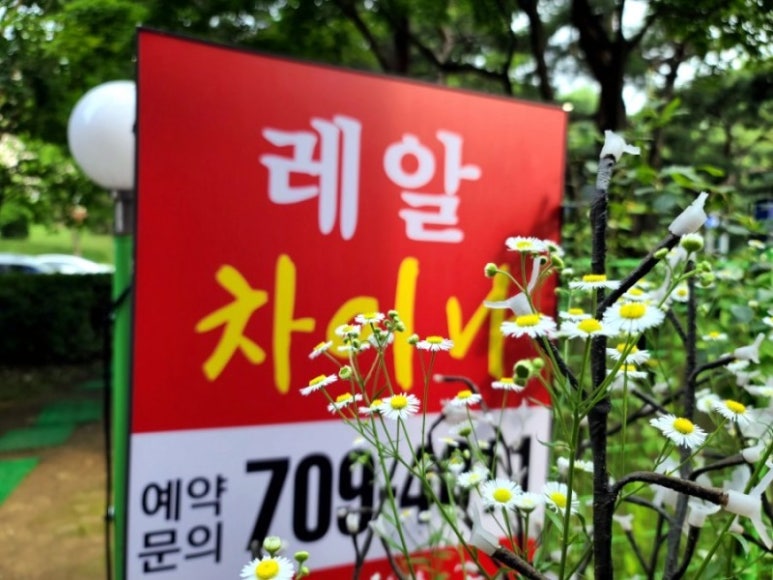 레알차이나 이미지