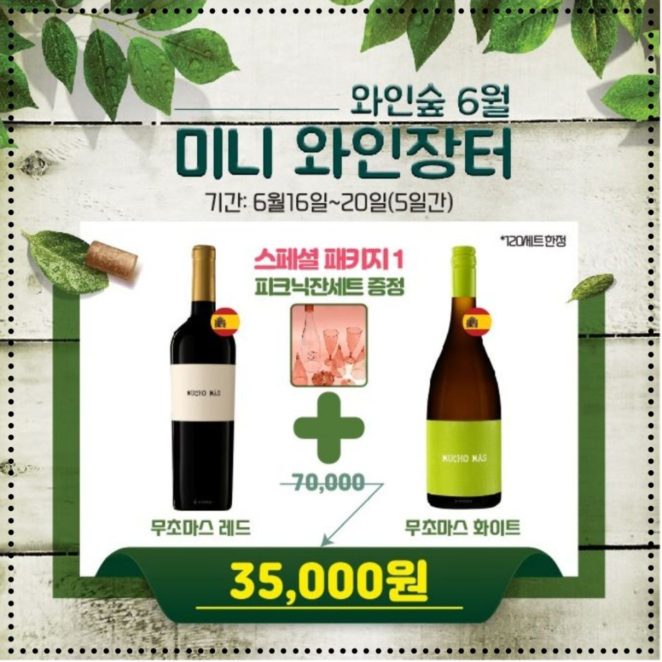와인숲 이미지