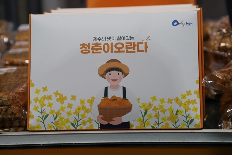 청춘이오란다 이미지