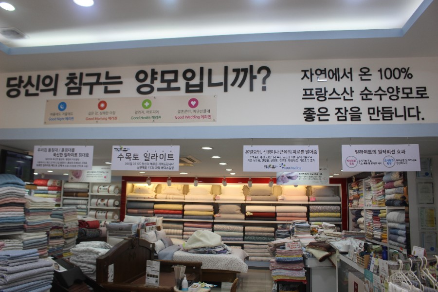 메리퀸동 이미지