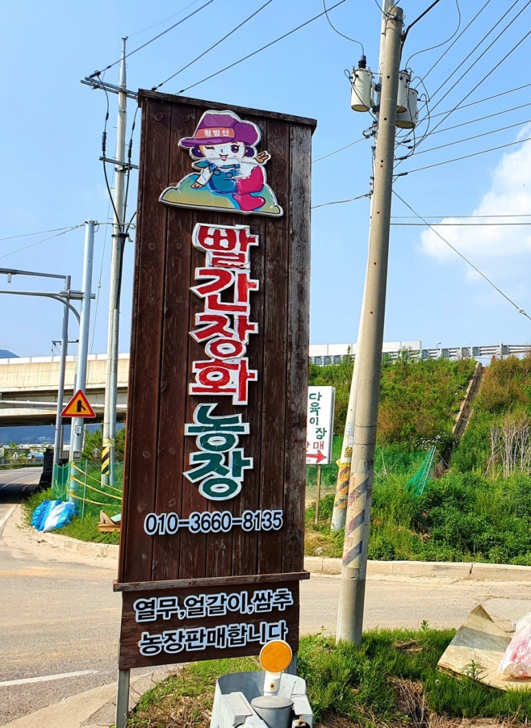 빨간장화 이미지