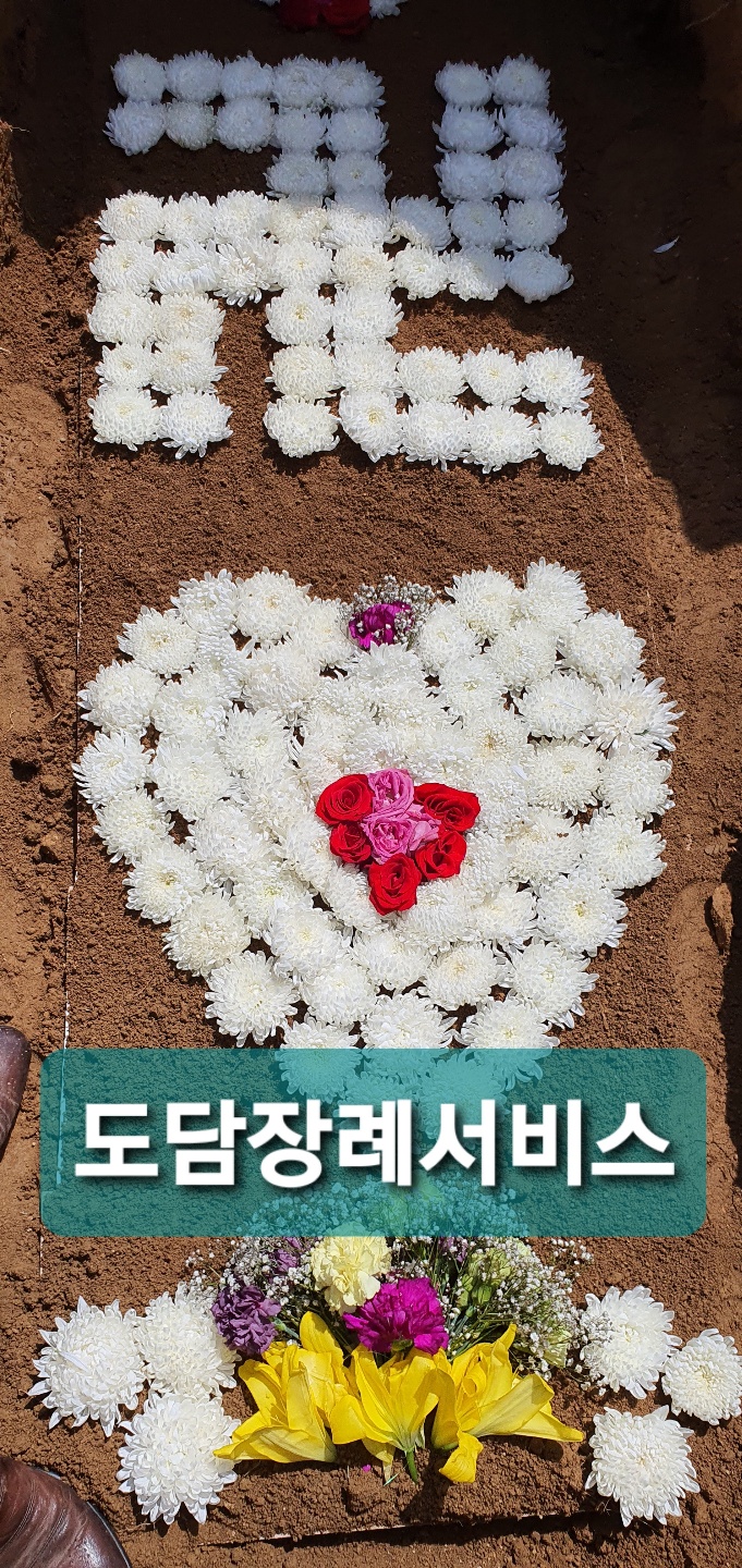 도담상조 이미지