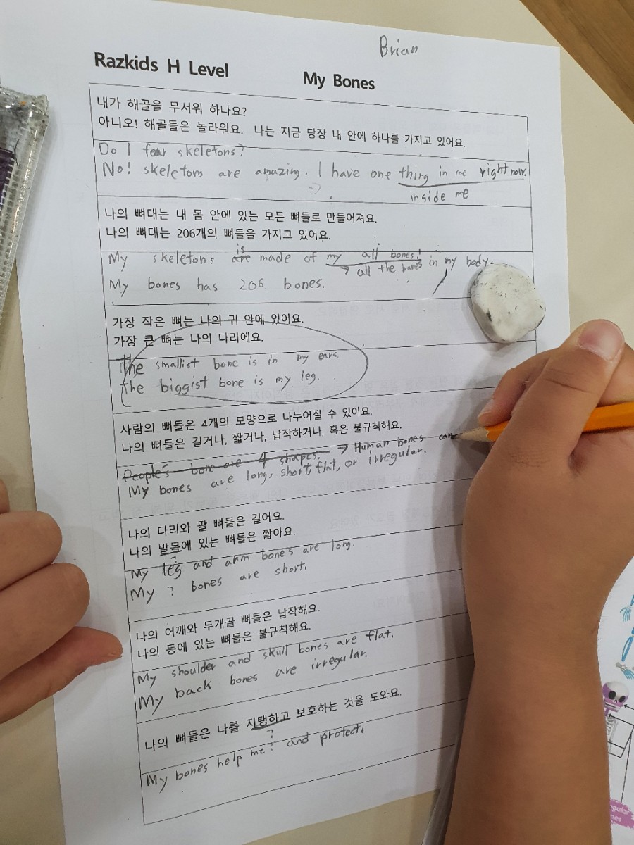 외솔초등학교 이미지