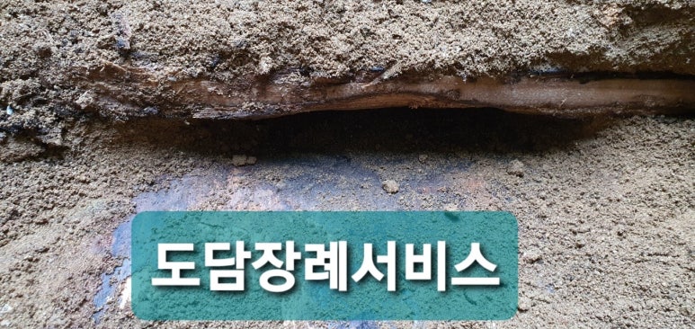 도담상조 이미지