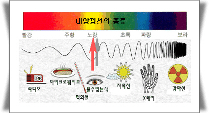 골드블루 이미지