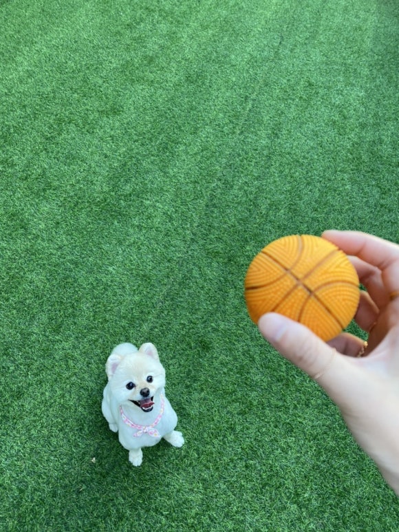인디퍼피 이미지