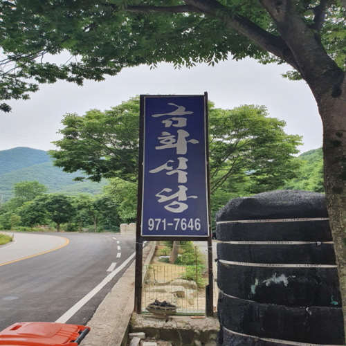 금화백숙 이미지