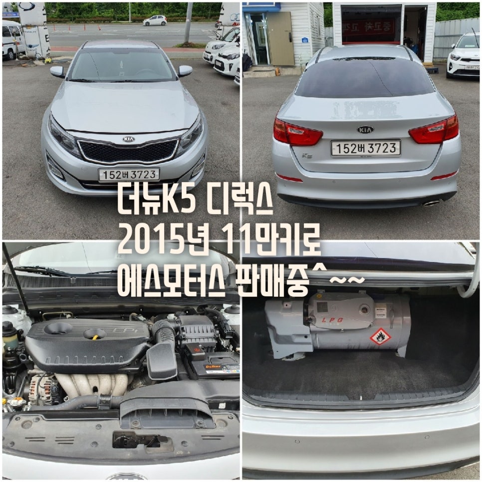 타이거모터스 이미지