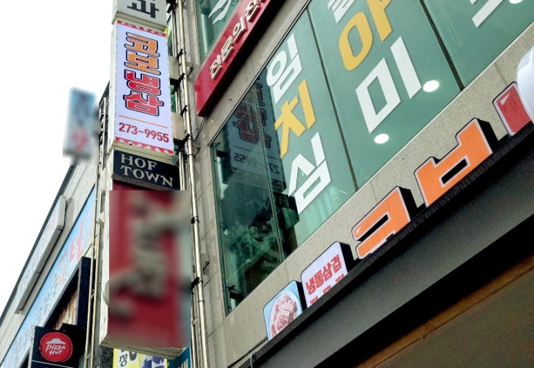 코보냉삼 이미지