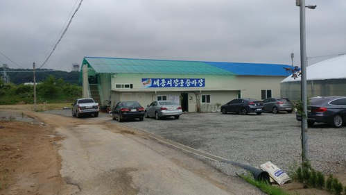 세종시장군승마장 이미지