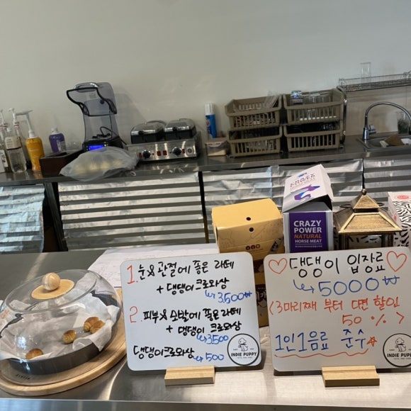 인디퍼피 이미지