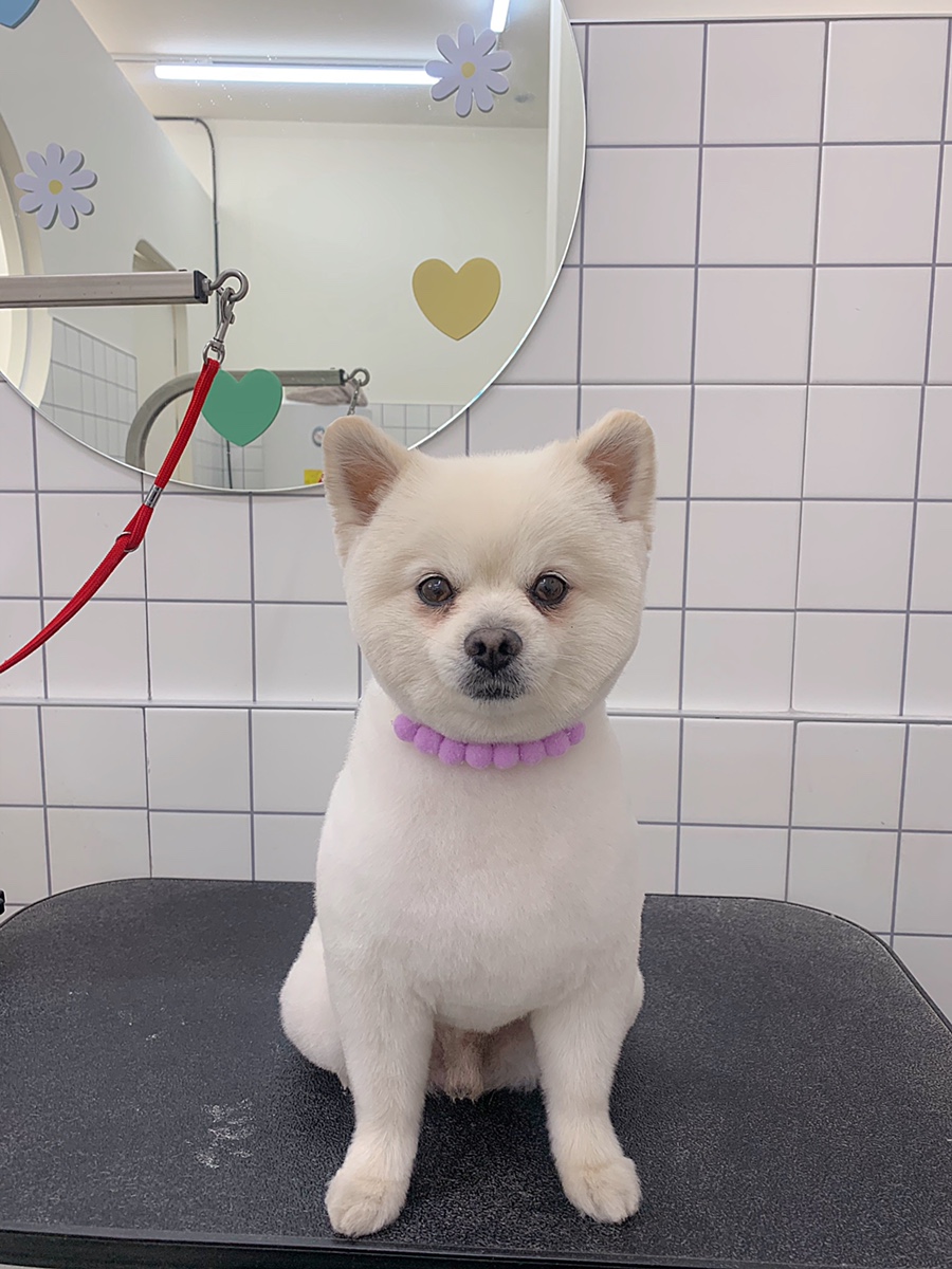 위드스테이부산 이미지