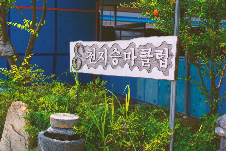 천지승마클럽 이미지